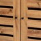 Baxton Studio Vander ModernOak Brown Finished Wood and Black Metal 2-Door Shoe Cabinet 194-11750-ZORO - alternate 4